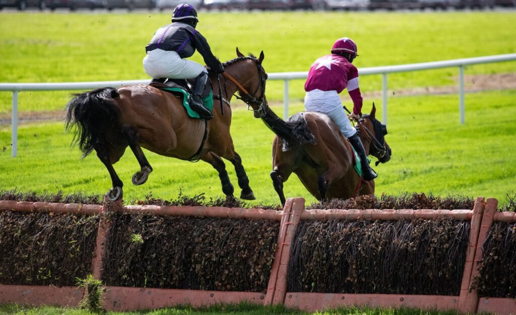 Agriculture & Equine Services